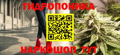 стафф Пенза