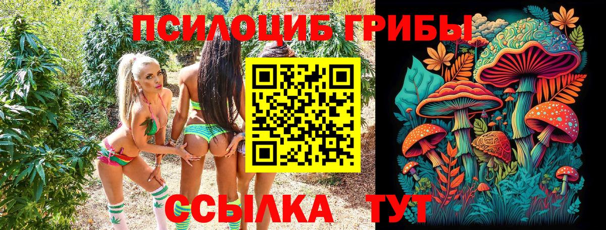 Псилоцибиновые грибы мицелий  Галлюциногенные грибы мицелий  Протвино  где купить наркотик  Вход с VPN 