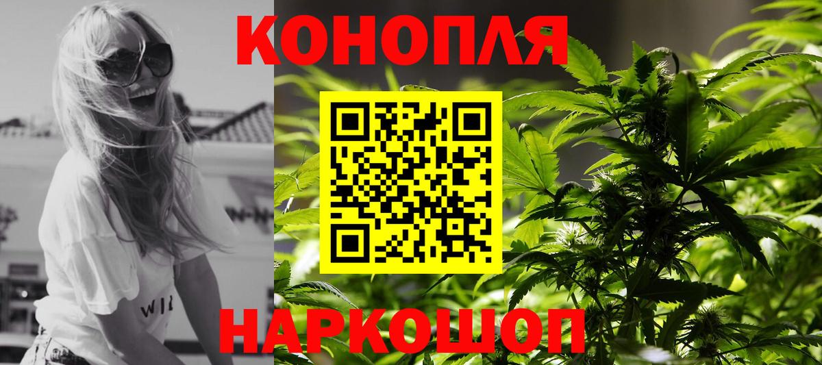МАРИХУАНА конопля Протвино